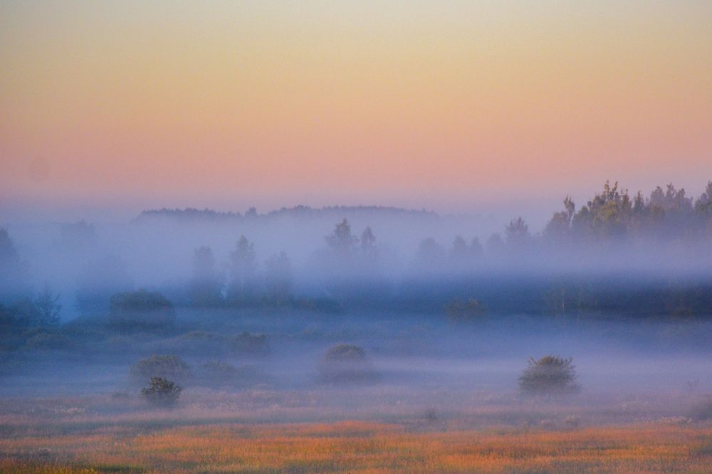 Photograph by Анастасия Гурова