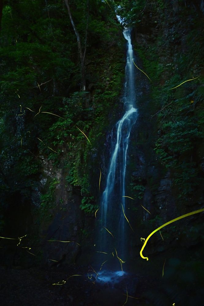 Photograph by Ohta Sigeki