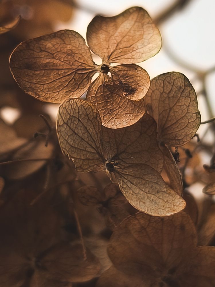 Photograph by Катрина Покумейко