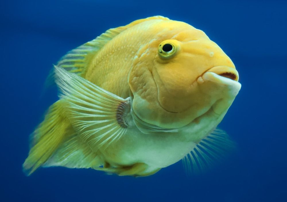 Photograph by Татьяна Шевченко