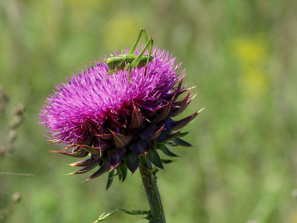 Фотография автора Марина Иванова