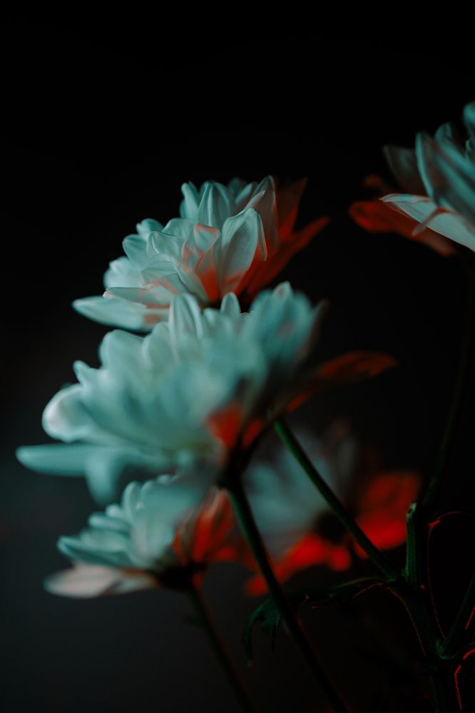 Photograph by Алёна Губинская