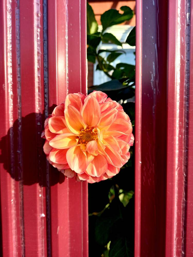 Photograph by Елена Воронова