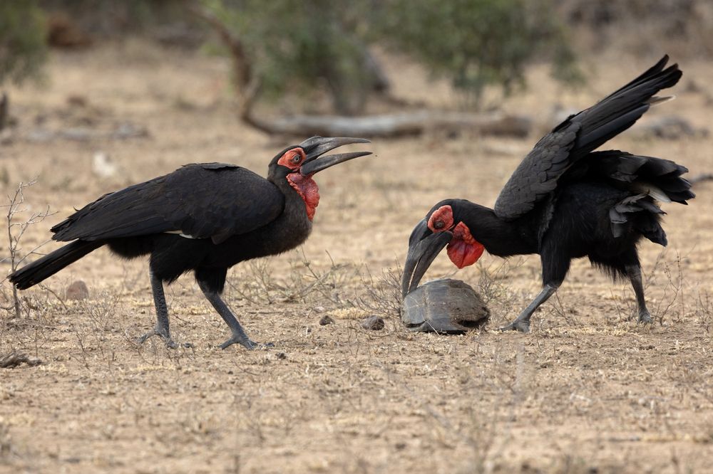 Photograph by Alfonso Roldan Losada