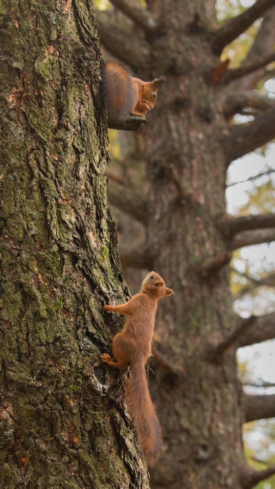Photograph by Бравичева Анастасия