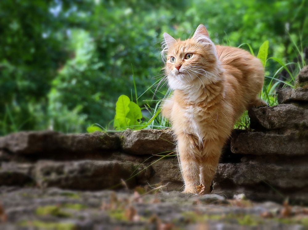 Photograph by Наталья Суслова