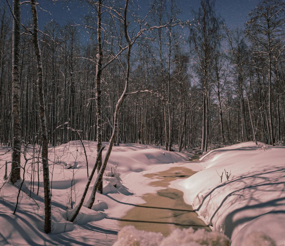 Фотография автора Михаил Швайко