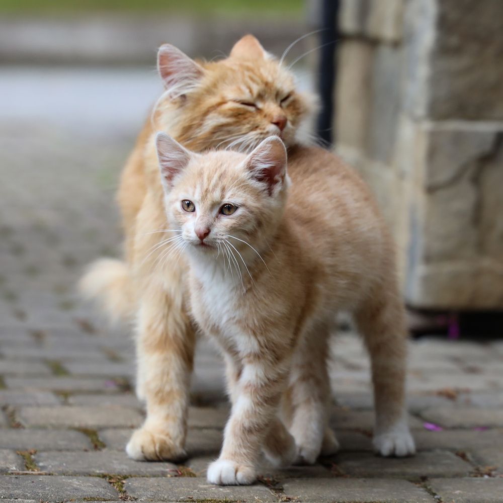 Photograph by Наталья Суслова