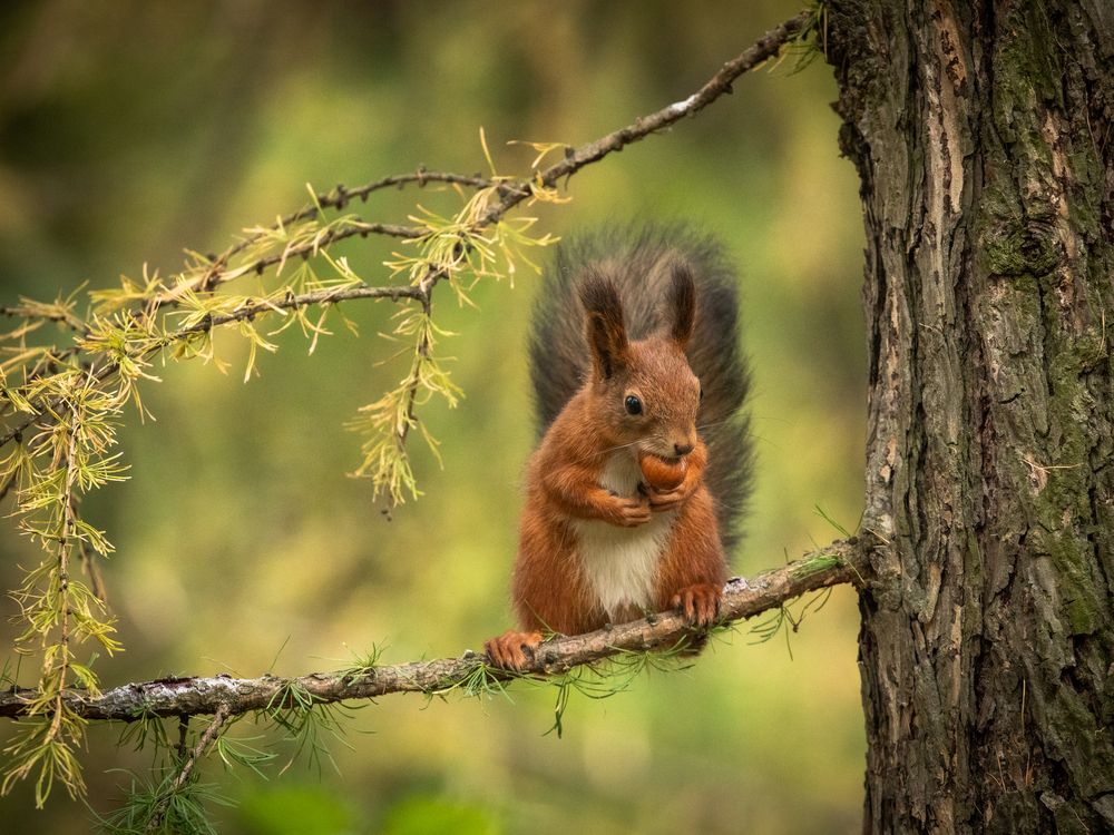 Photograph by Бравичева Анастасия
