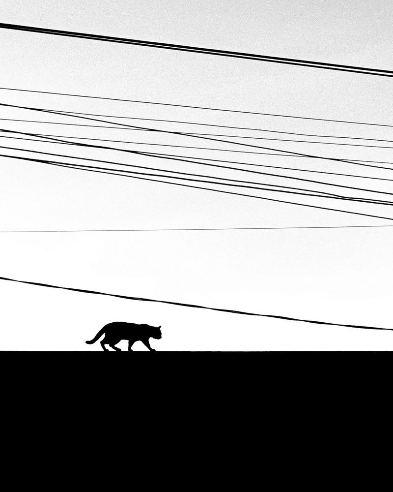Photograph by Ярослав Шарыченков