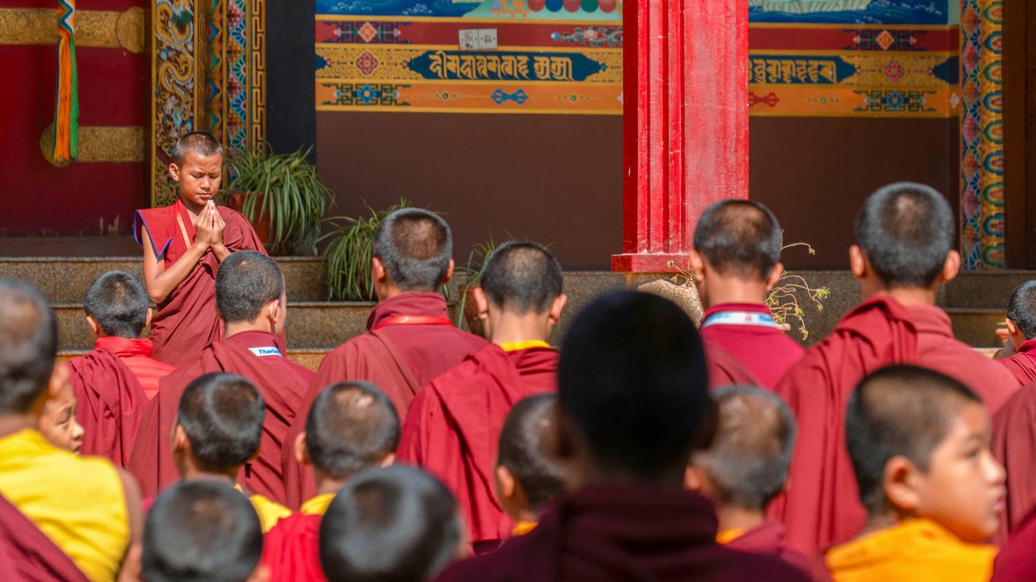 Фотография #11971697