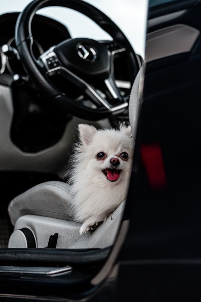 Фотография автора Никита Сагунов