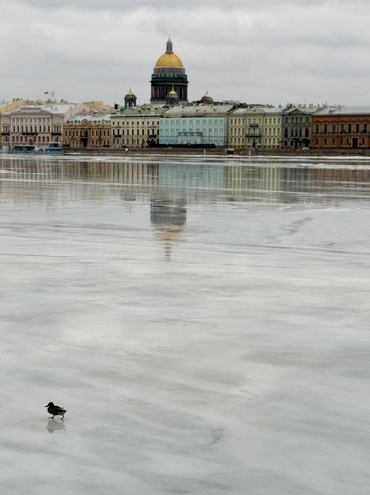 Photograph by Надежда Ряхина