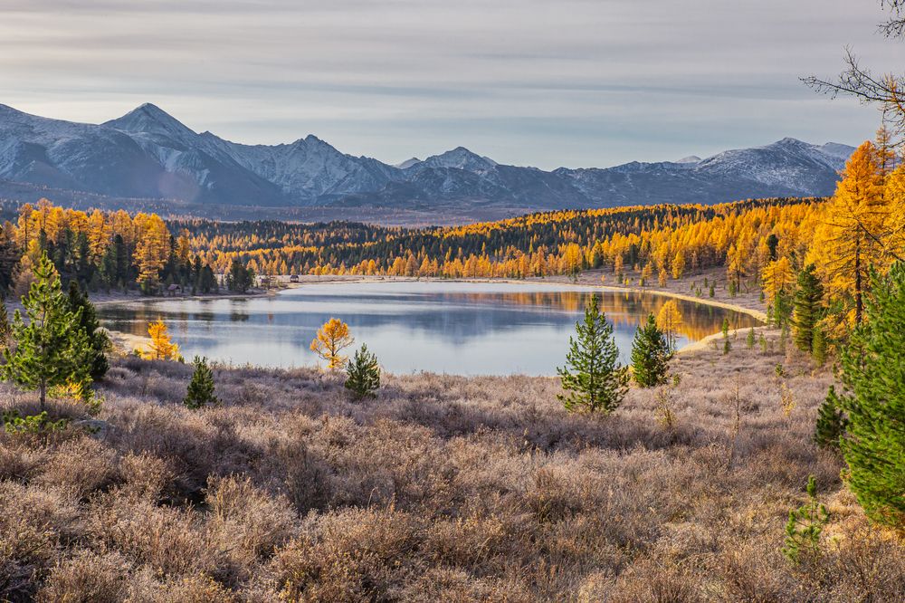 Photograph by Елена Павлова