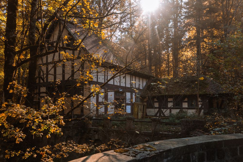 Photograph by Илья Сафаров