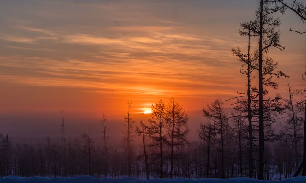 Photograph by Михаил Мархинин