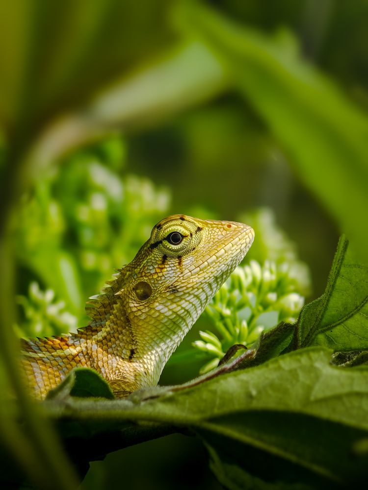 Photograph by Aperture Thonnivasi