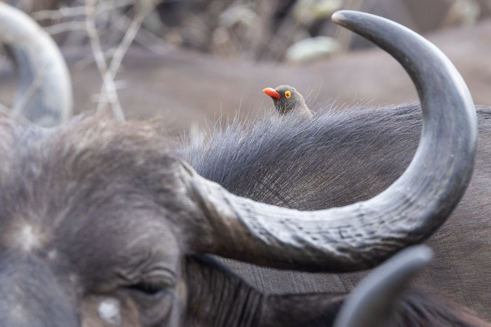 Photograph by Alfonso Roldan Losada