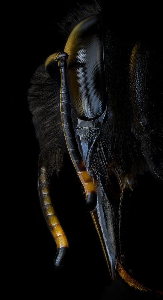 Photograph by Ángel Navarro