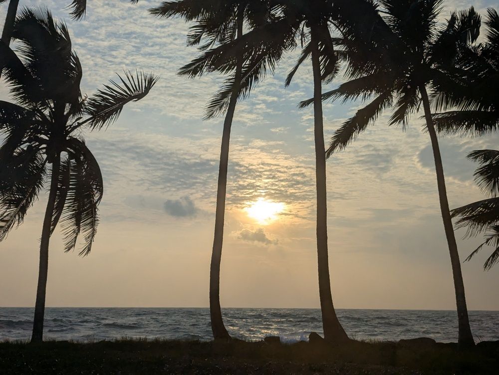 Photograph by Dimuth De Zoysa