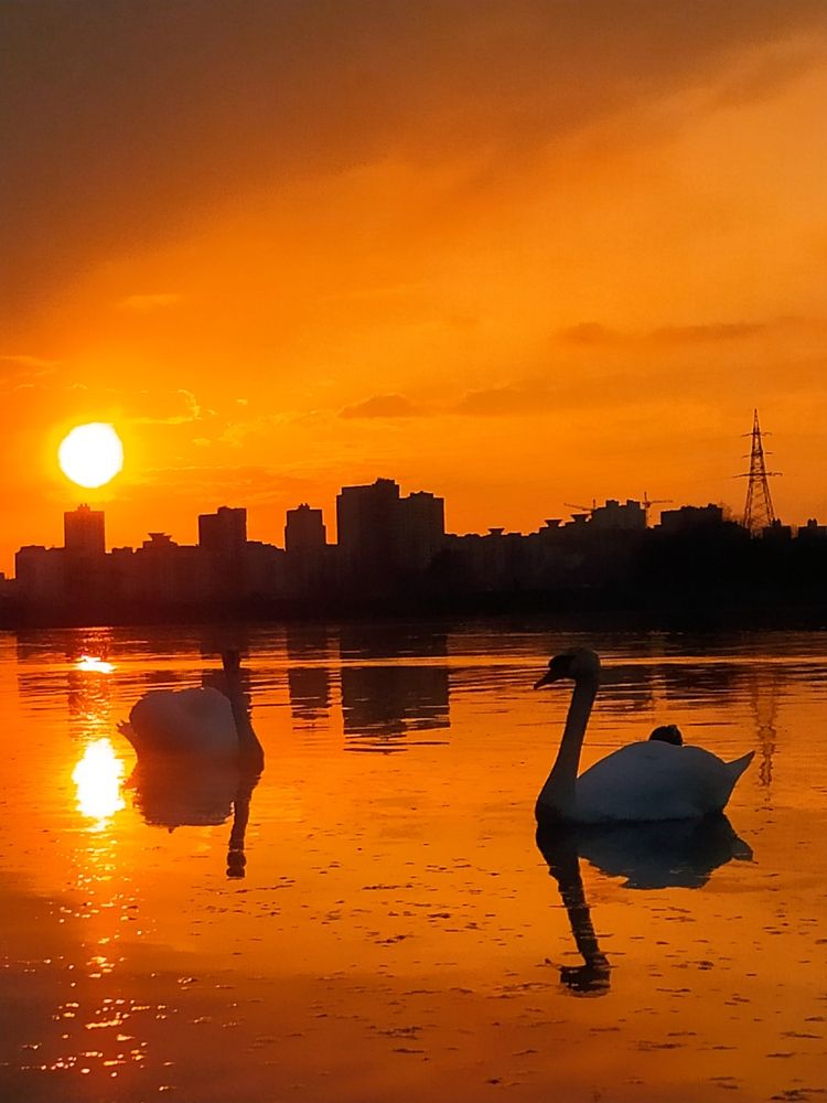 Photograph by Maryna Kukhtsikava