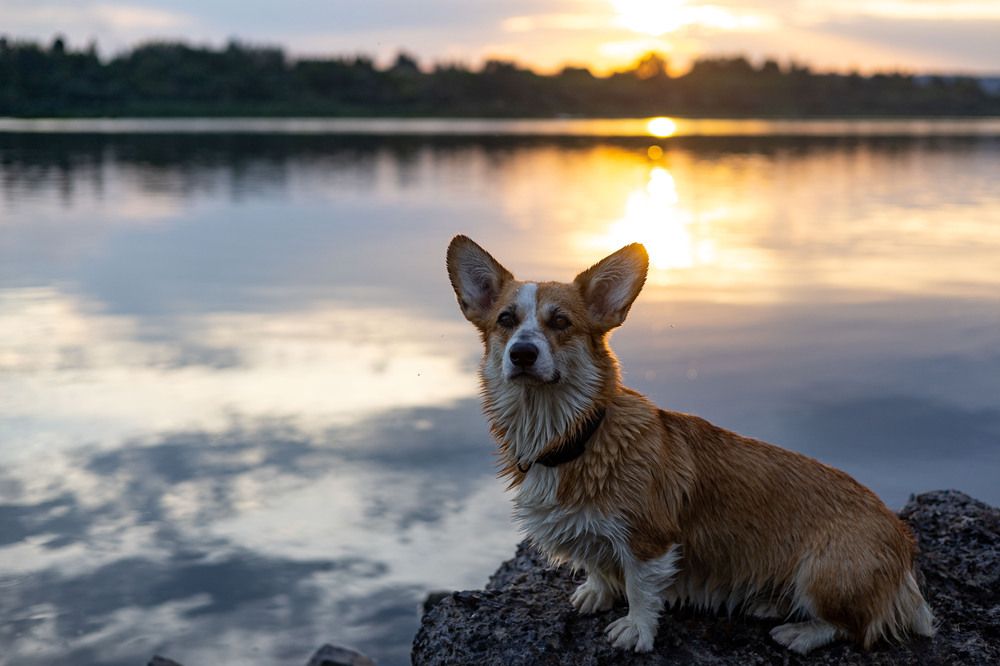 Фотография автора Елена Попова