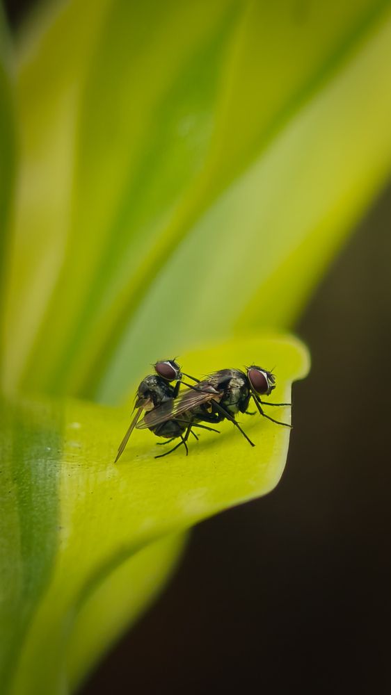 Photograph by Aperture Thonnivasi