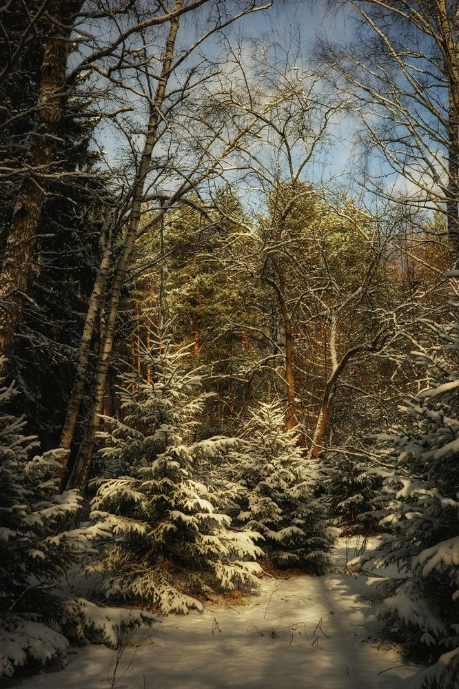 Photograph by Veronika Koneva