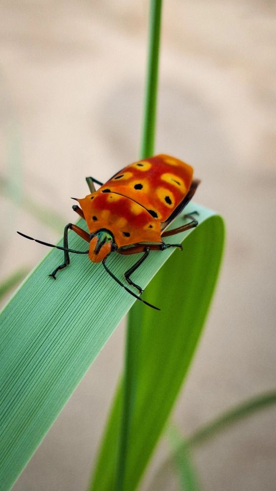 Photograph by Татьяна Кириллова