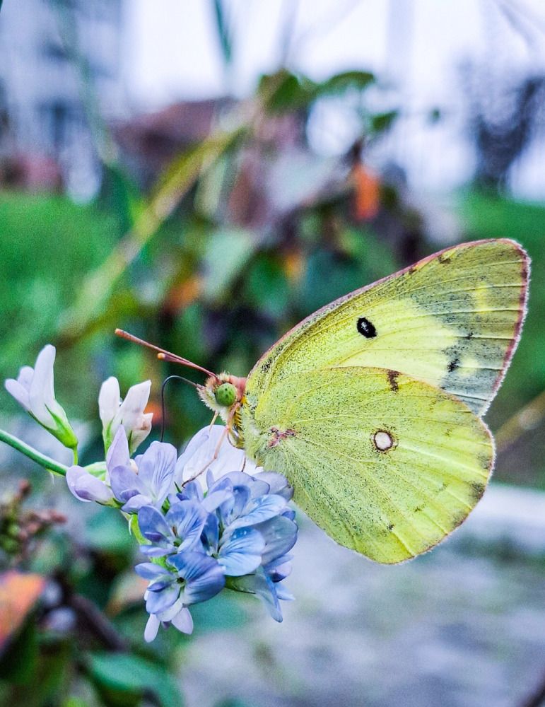 Photograph by Татьяна Кириллова