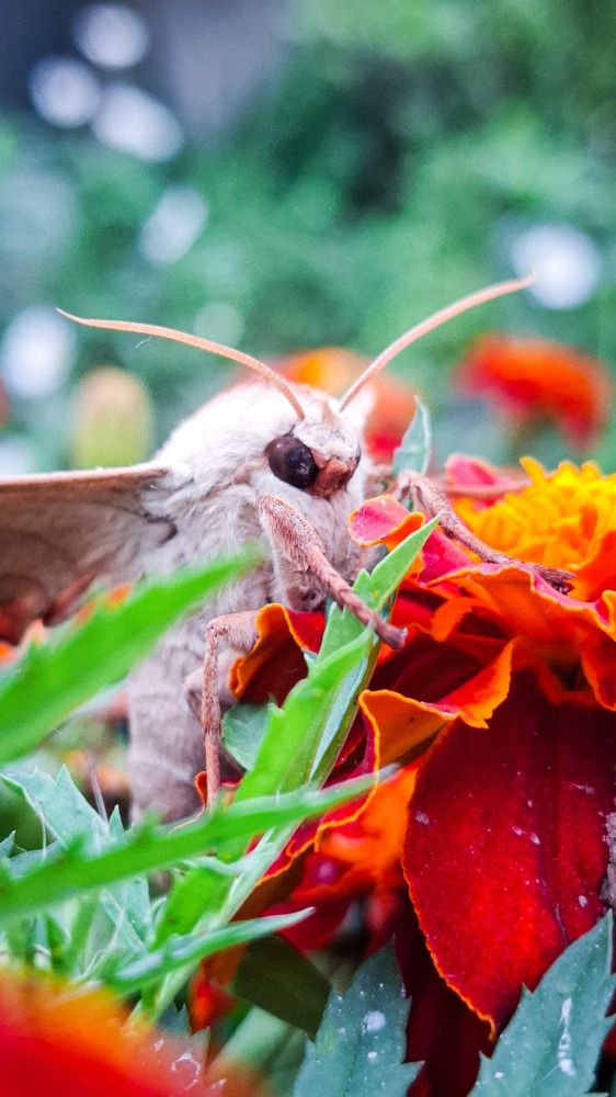 Photograph by Татьяна Кириллова