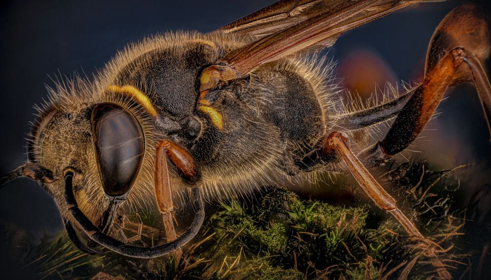 Photograph by Ángel Navarro