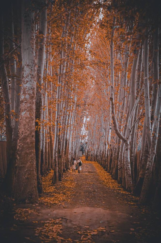 A colorful alley in Shahriar