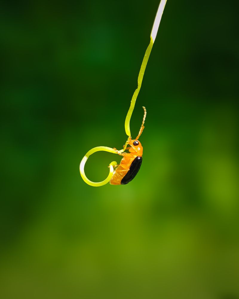 Photograph by Aperture Thonnivasi