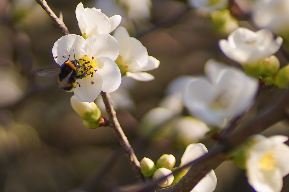 Photograph by Анна Воронова
