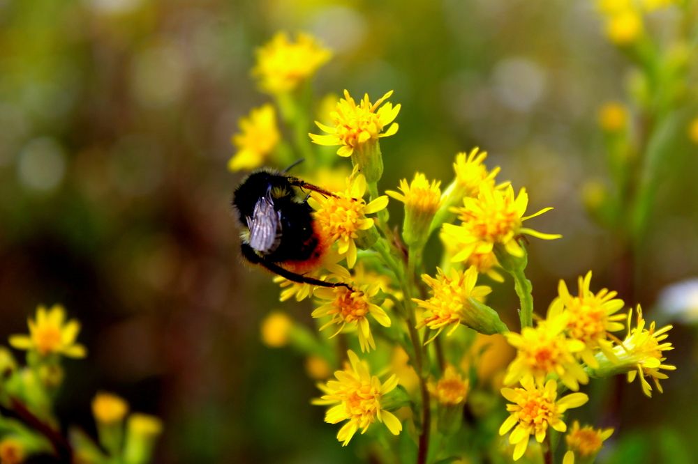 Photograph by Любовь