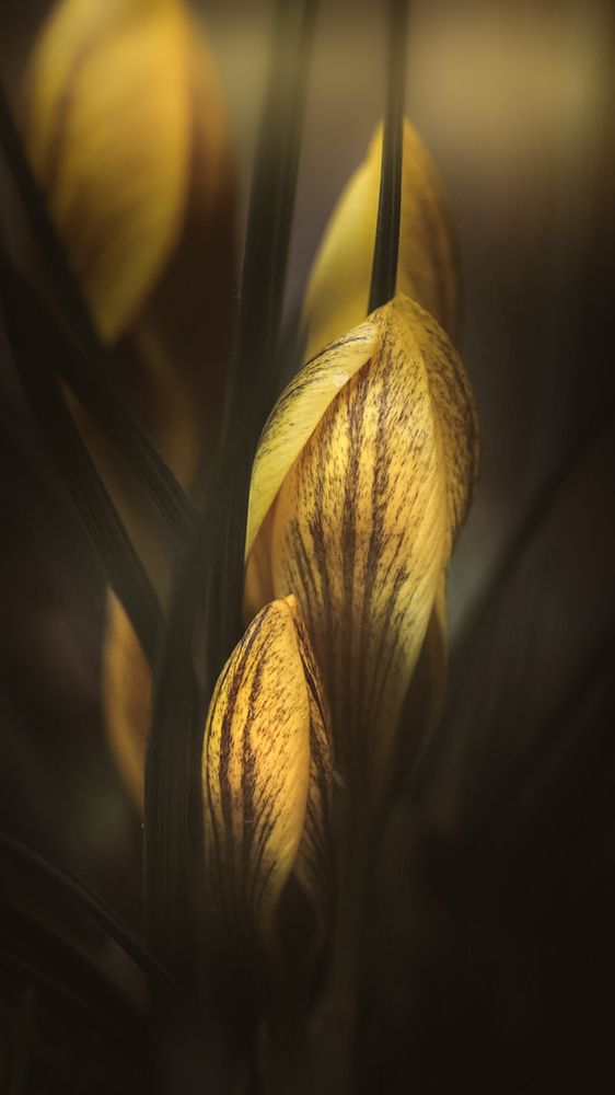 Photograph by Анна Тен