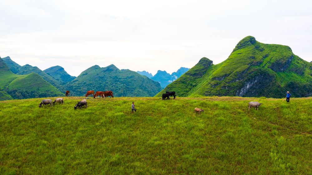 Photograph by Nguyễn Tiệp