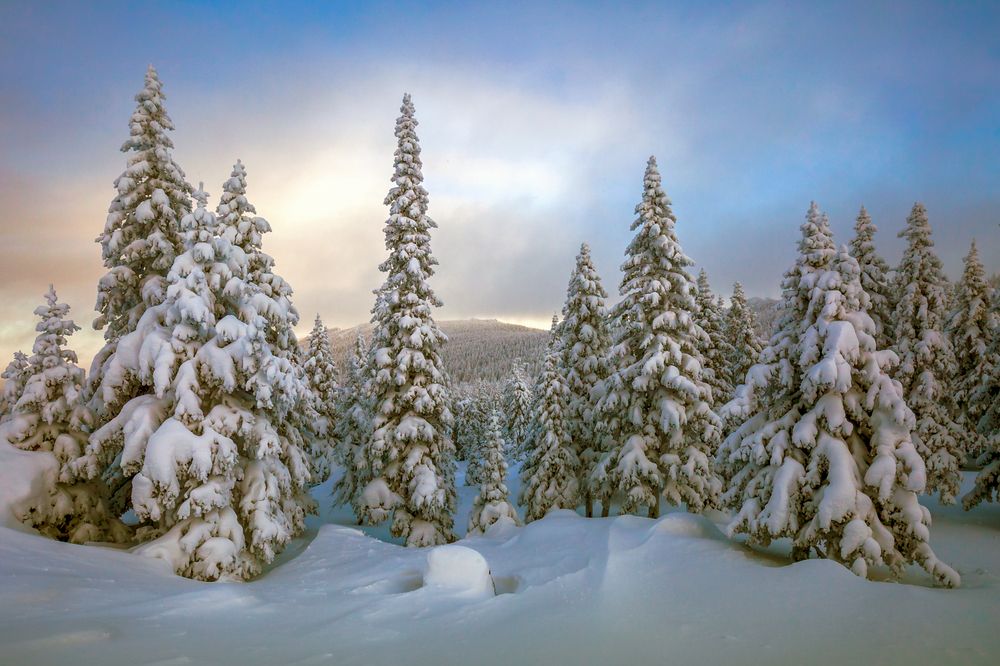 Photograph by Евдокимов Сергей