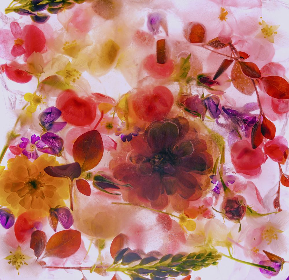 Photograph by Zamira Sozieva