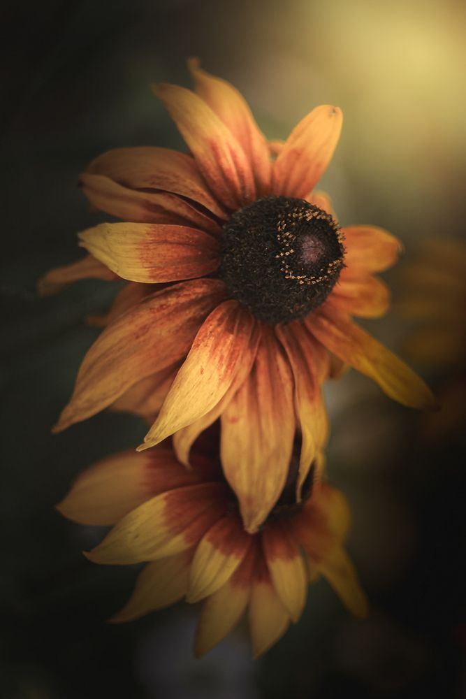 Photograph by Анна Тен