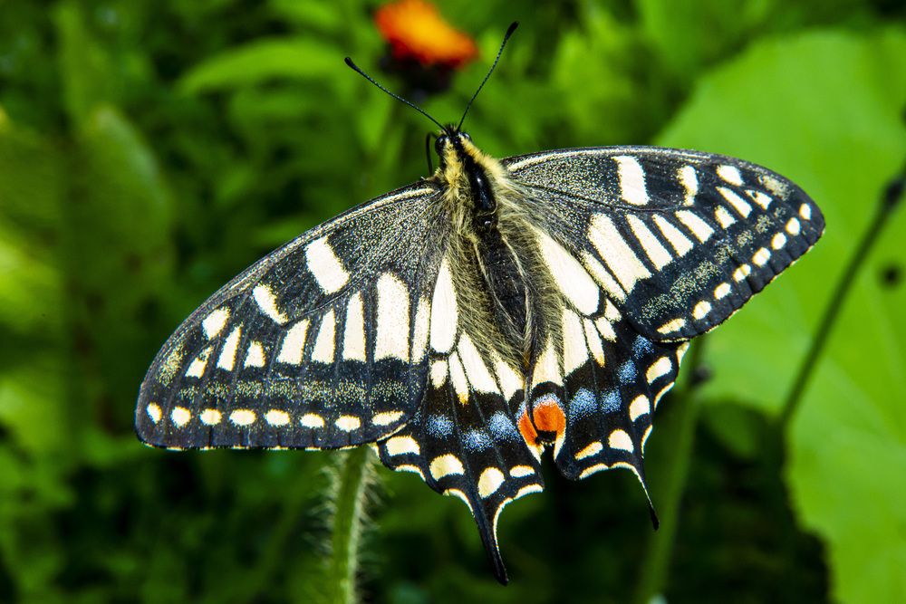 Photograph by Дмитрий Юдин