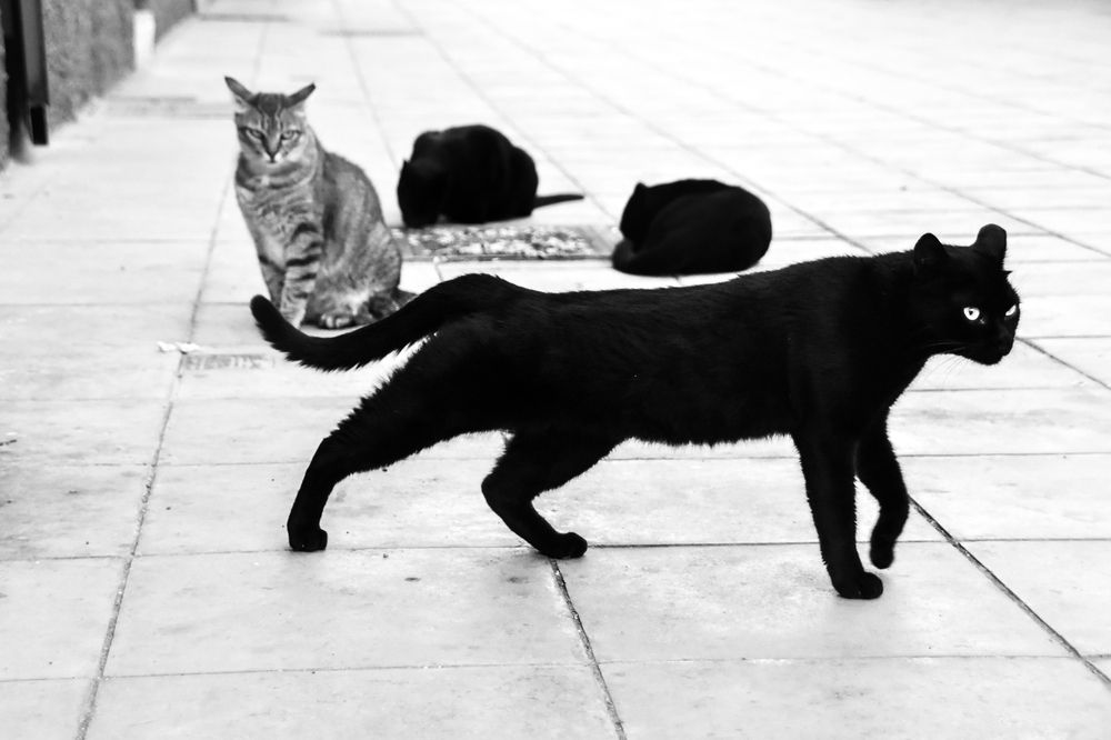 Photograph by Carolynslens