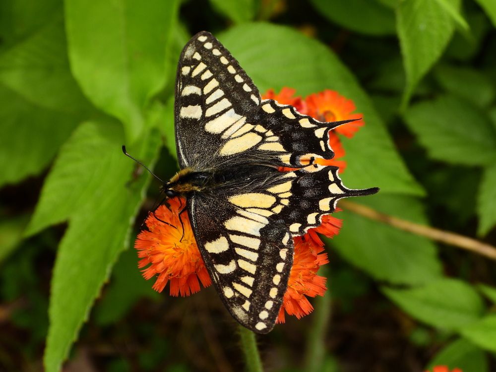 Photograph by Дмитрий Юдин