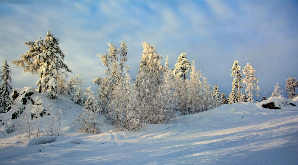 Белоснежная зима