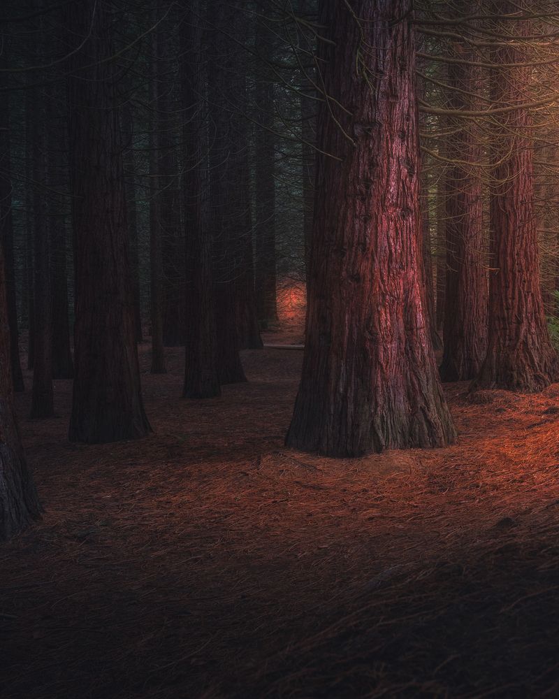 Photograph by Добромир Драгомиров