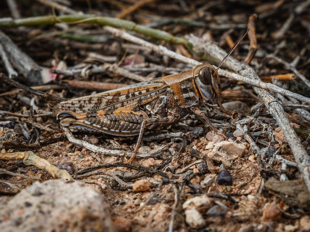 Фотография автора Татаринов Валерий