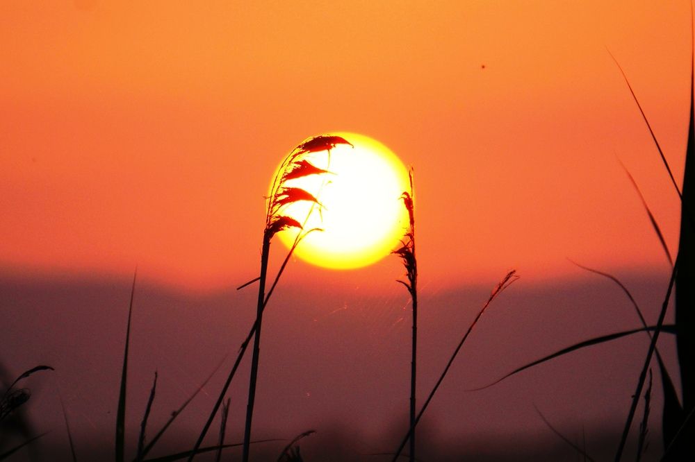 Photograph by Валерий