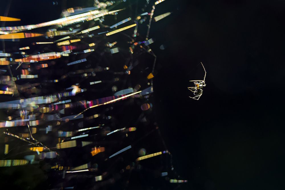 Укротитель солнечного ветра