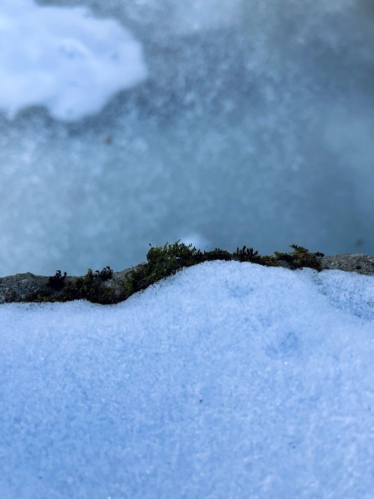 Photograph by Татьяна Лышенко